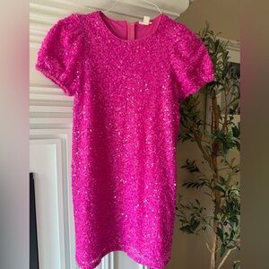 J. Crew Shimmering Fuchsia Kids Dress
